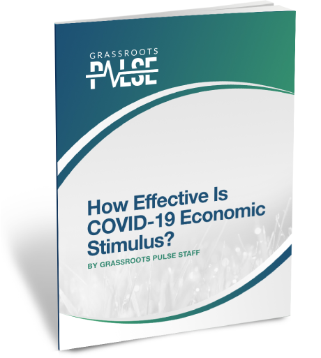 how-effective-is-covid-19-economic-stimulus-3D-book-version