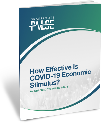 how-effective-is-covid-19-economic-stimulus-3D-book-version how-effective-is-covid-19-economic-stimulus-3D-book-version